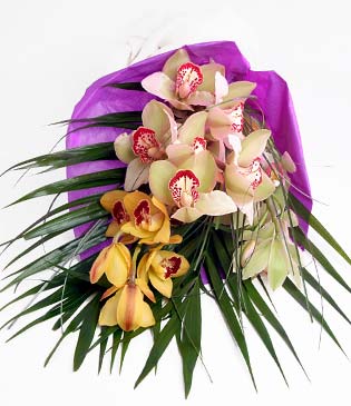  Siirt ieki maazas  1 adet dal orkide buket halinde sunulmakta