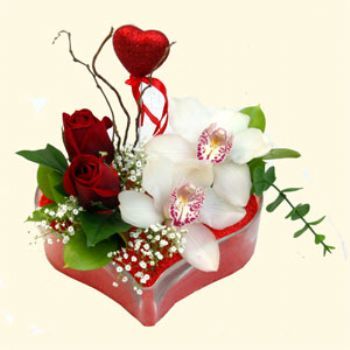  Siirt internetten çiçek siparişi  1 kandil orkide 5 adet kirmizi gül mika kalp