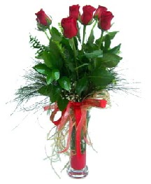 vazo içerisinde 5 kırmızı gül  Siirt uluslararası çiçek gönderme 