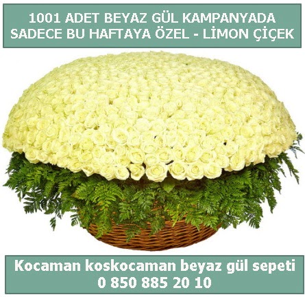 1001 adet beyaz gül sepeti özel kampanyada  Siirt çiçek servisi , çiçekçi adresleri 