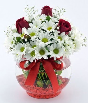 Fanusta 3 Gül ve Papatya  Siirt çiçek gönderme 