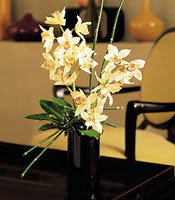  Siirt çiçekçi telefonları  cam yada mika vazo içerisinde dal orkide