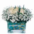 mika ve beyaz gül renkli taslar   Siirt yurtiçi ve yurtdışı çiçek siparişi 