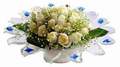 cam günes ve dolunay bembeyaz  Siirt online çiçekçi , çiçek siparişi 
