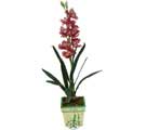 Özel Yapay Orkide Pembe   Siirt internetten çiçek satışı 