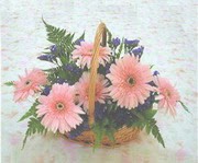 gerbera çiçeklerinde sepet   Siirt çiçek mağazası , çiçekçi adresleri 