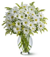 Vazo içerisinde beyaz krizantem çiçekleri  Siirt çiçek gönderme sitemiz güvenlidir 