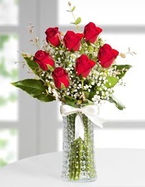 Cam vazoda 7 adet kırmızı gül  Siirt online çiçekçi , çiçek siparişi 