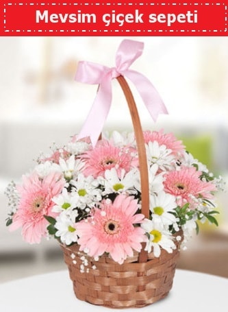 Mevsim kır çiçek sepeti  Siirt online çiçekçi , çiçek siparişi 